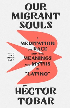 Our Migrant Souls (eBook, ePUB) - Tobar, Héctor
