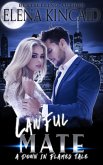 Lawful Mate (A Down In Flames Tale, #2) (eBook, ePUB)