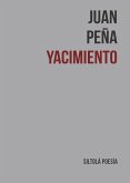 YACIMIENTO YACIMIENTO