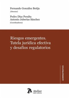 Cover RIESGOS EMERGENTES TUTELA JURIDICA EFECTIVA Y DESAFIOS REGULATORIOS