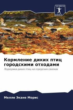 Kormlenie dikih ptic gorodskimi othodami Kormlenie dikih ptic gorodskimi othodami