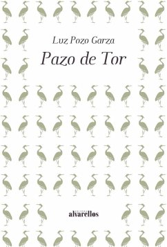Pazo de Tor - Pozo Garza, Luz