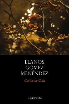 Cartas de Caín - Gómez Menéndez, Llanos María