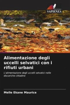 Alimentazione degli uccelli selvatici con i rifiuti urbani - Maurice, Melle Ekane