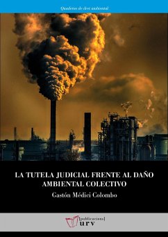 La tutela judicial frente al daño ambiental colectivo : radiografía del acceso a la justicia ambiental en Argentina y España - Médici Colombo, Gastón