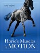 Horse's Muscles in Motion (eBook, ePUB) - Bild 1