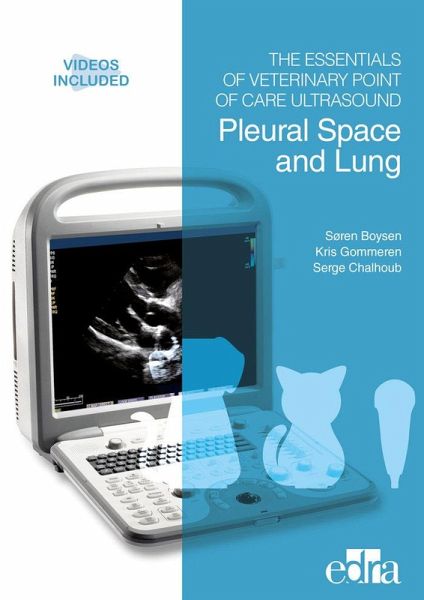 Pleural Space and Lung (C) / Boysen