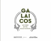 Galaicos : un pobo entre dous mundos