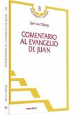 Comentario al Evangelio de Juan