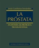 La próstata : anatomía-quirúrgica translacional