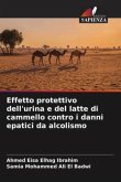 Effetto protettivo dell'urina e del latte di cammello contro i danni epatici da alcolismo