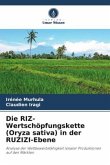 Die RIZ-Wertschöpfungskette (Oryza sativa) in der RUZIZI-Ebene