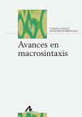 Avances en macrosintaxis