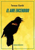 El aire encendido El aire encendido