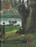 Harry Potter: los archivos de las películas 04 los alumnos de Hogwarts