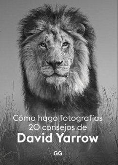 Cómo Hago Fotografías: 20 Consejos - Yarrow, David
