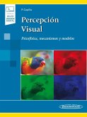 Percepción visual : psicofísica, mecanismos y modelos