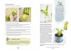 El huerto en la cocina : residuo cero : recultiva los restos de las verduras que cocinas - Elzer-Peters, Katie