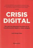 Crisis digital : por qué las empresas fracasan en su transformación digital y cómo evitarlo