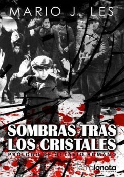 Sombras tras los cristales