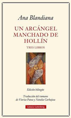 Cover Un arcángel manchado de hollín: Tres libros
