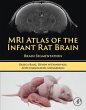 MRI Atlas of the Infant Rat Brain... - Bild 1