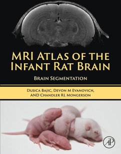 MRI Atlas of the Infant Rat Brain (eBook, ePUB) - Bajic, Dusica; Evanovich, Devon; Mongerson, Chandler