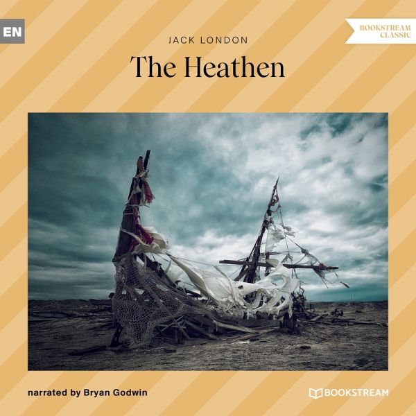 The Heathen (MP3-Download) The Heathen (MP3-Download)