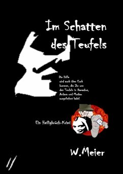 Im Schatten des Teufels (eBook, ePUB) - Meier, Werner