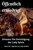 Öffentlich erniedrigt (eBook, ePUB)