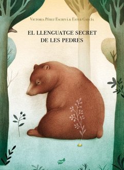Cover El llenguatge secret de les pedres