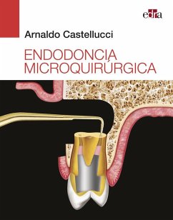 Cover Endodoncia microquirúrgica