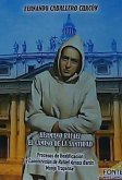 Hermano Rafael : el camino de la santidad : procesos de beatificación y canonización de Rafael Arnaiz Barón monje trapense