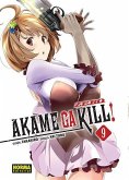 Akame Ga Kill! Zero 9