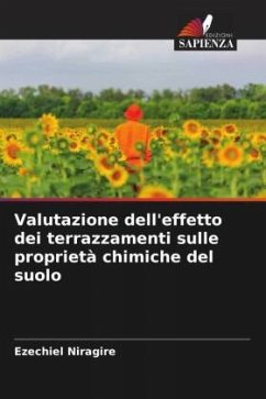 Valutazione dell'effetto dei terrazzamenti sulle proprietà chimiche del suolo - Niragire, Ezechiel