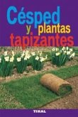 Césped y las plantas tapizantes Césped y las plantas tapizantes