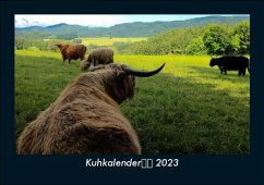 Kuhkalender 2023 Fotokalender DIN A5 - Tobias Becker