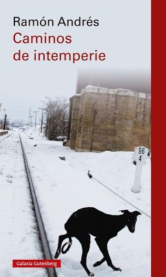 Cover Caminos de intemperie