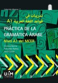 Practica de la gramática arabe : nivel A1 del MCER