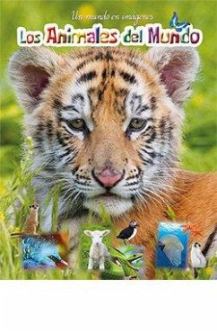 Cover LOS ANIMALES DEL MUNDO. UN MUNDO EN IMÁGENES