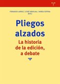 Pliegos alzados : la historia de la edición, a debate Pliegos alzados : la historia de la edición, a debate