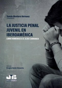 Cover La justicia penal juvenil en Iberoamérica : libro homenaje a D. Elías Carranza