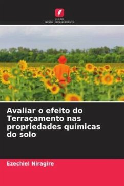 Avaliar o efeito do Terraçamento nas propriedades químicas do solo - Niragire, Ezechiel