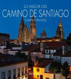 Lo mejor del Camino de Santiago : Camino Francés