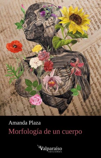 MORFOLOGÍA DE UN CUERPO