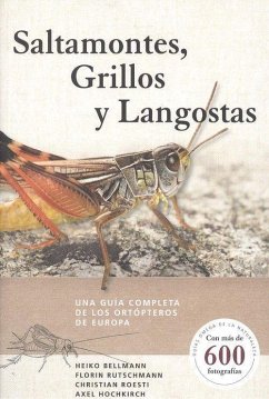 Saltamontes, grillos y langostas : una guía completa de los ortópteros de Europa - Bellmann, Heiko