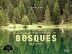 Viaje visual y sonoro por los bosques de España