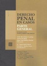 Cover Derecho penal en casos : parte general : introducción, teoría jurídica del delito
