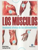 Los músculos : anatomía clínica de las extremidades