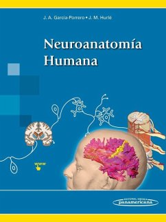 Neuroanatomía humana - Hurlé González, Juan M.; García-Porrero, Juan A.